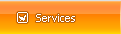 Computer Services